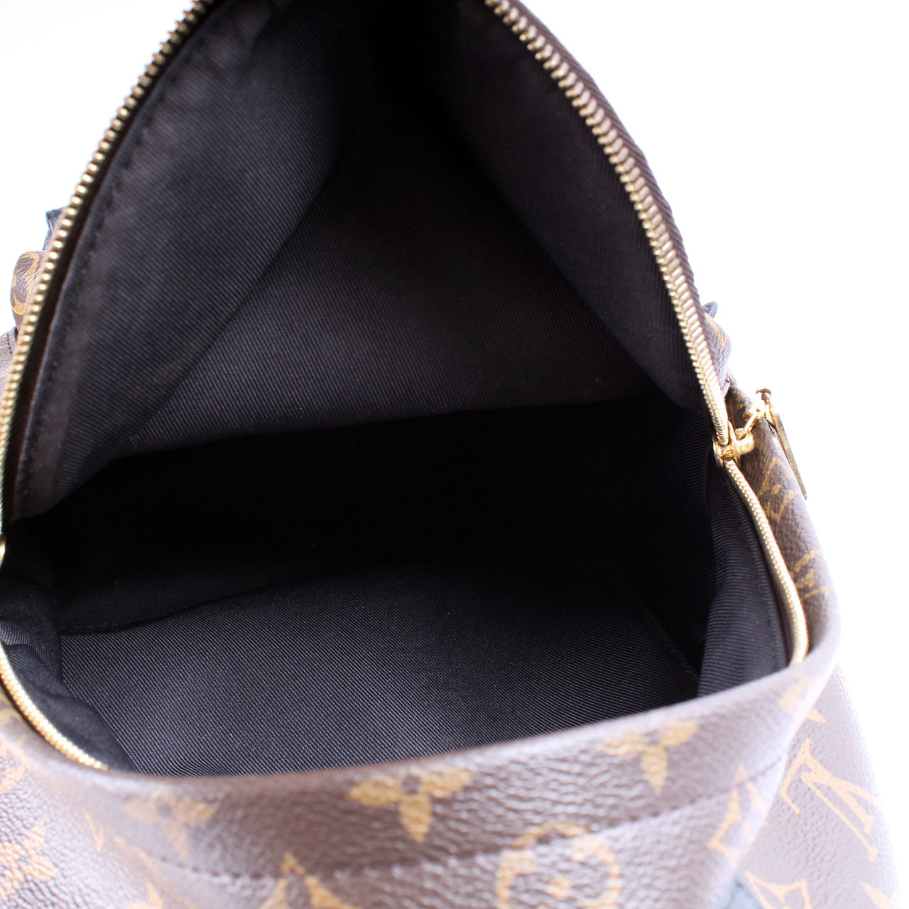 Palm Springs Backpack PM Monogram