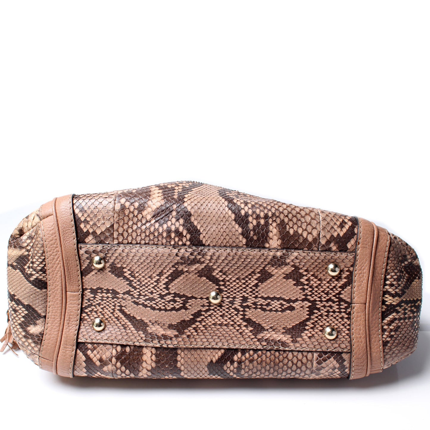 269949 Bella Zip Top Snake