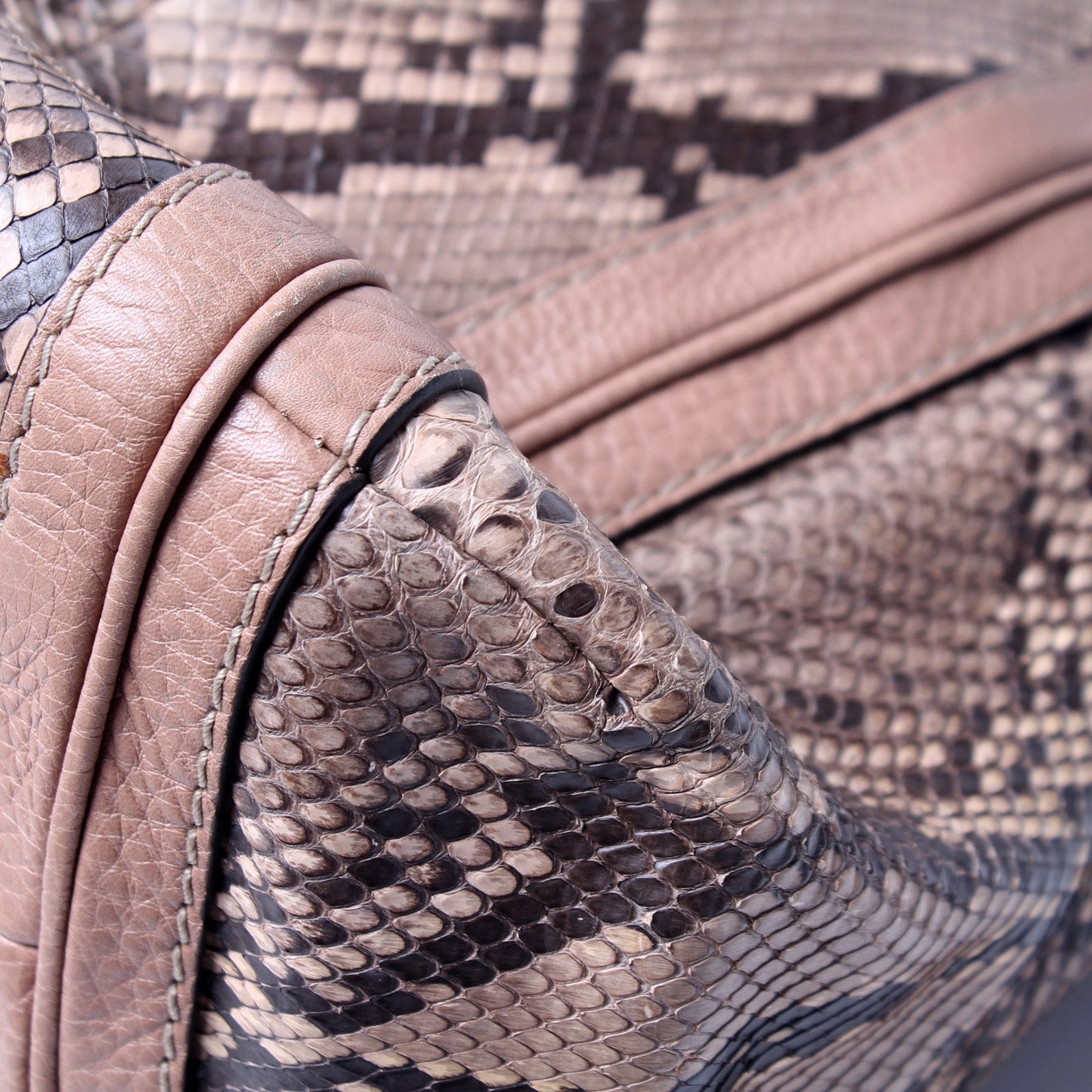 269949 Bella Zip Top Snake