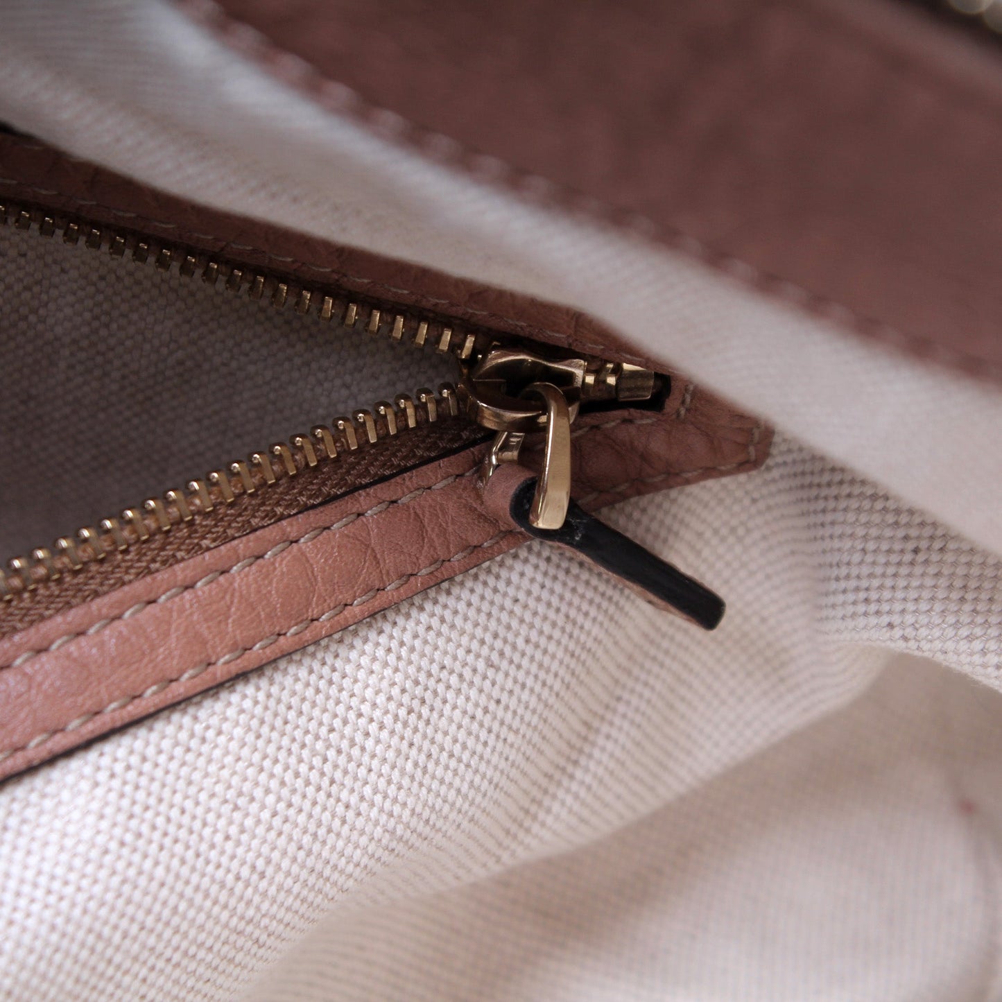 269949 Bella Zip Top Snake