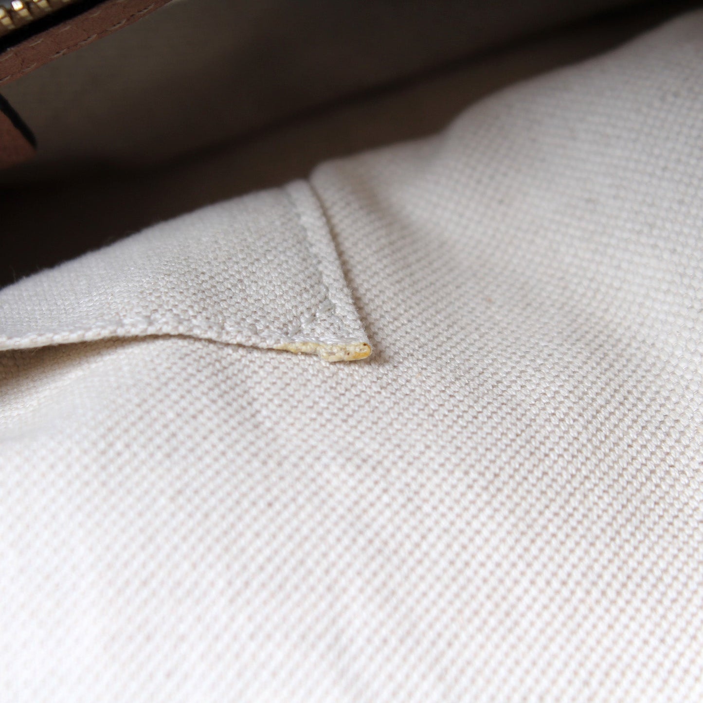 269949 Bella Zip Top Snake