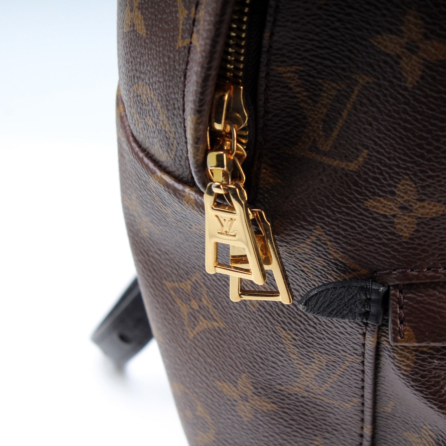 Palm Springs Backpack MM Monogram