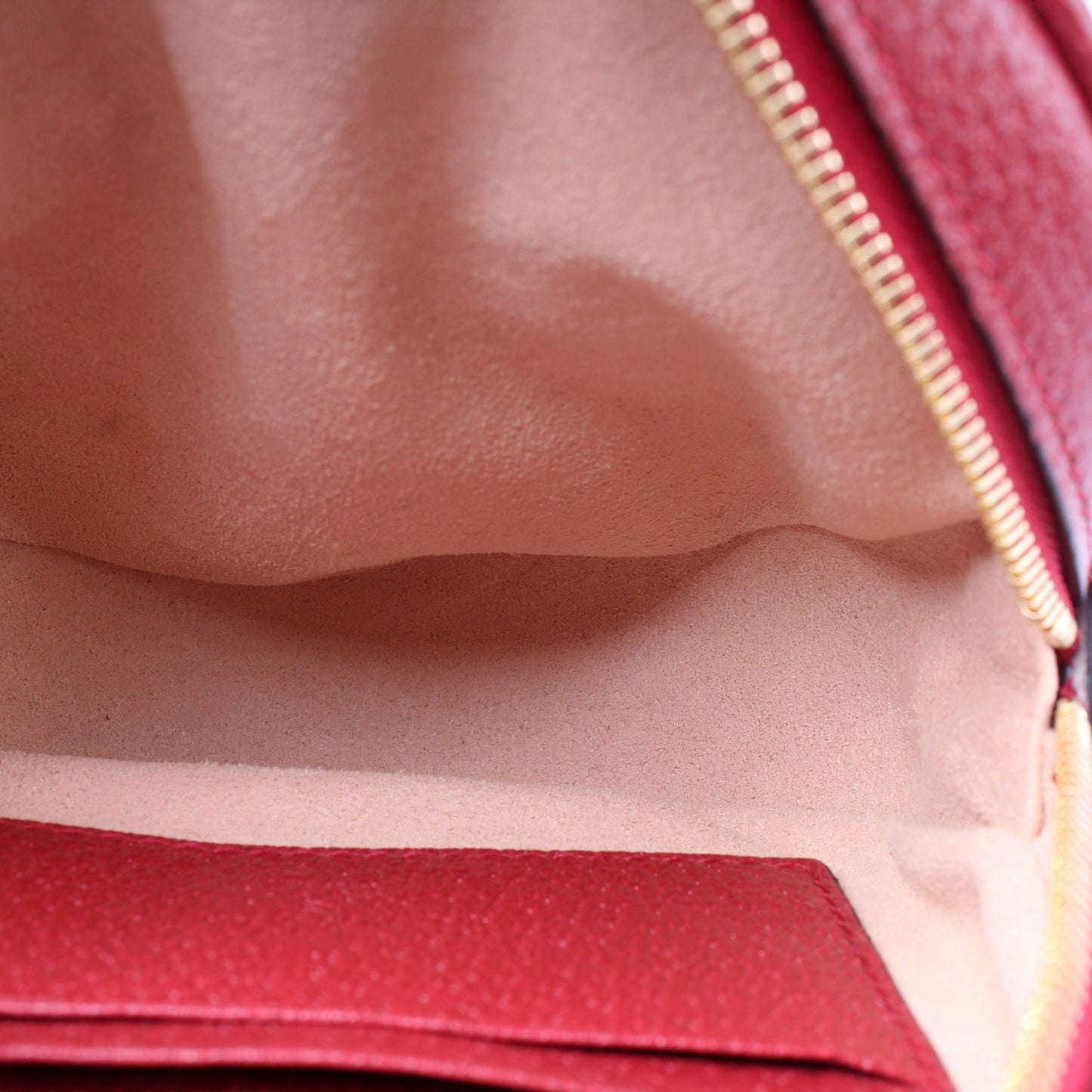 598661 Ophidia Flora Backpack