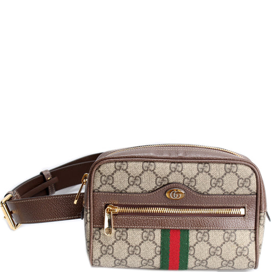 517076 Mini Ophidia Belt Bag