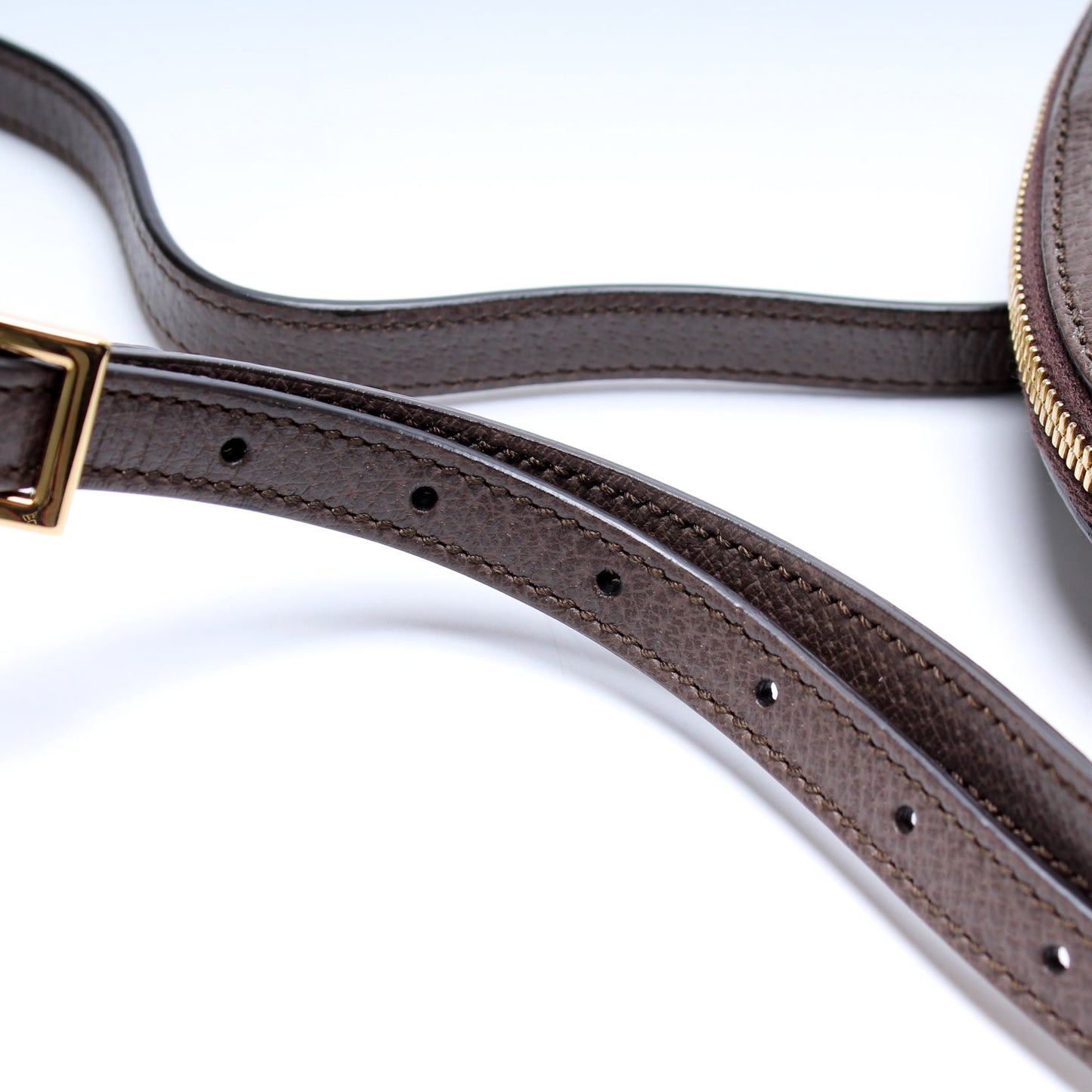 499621 Ophidia GG Small Crossbody