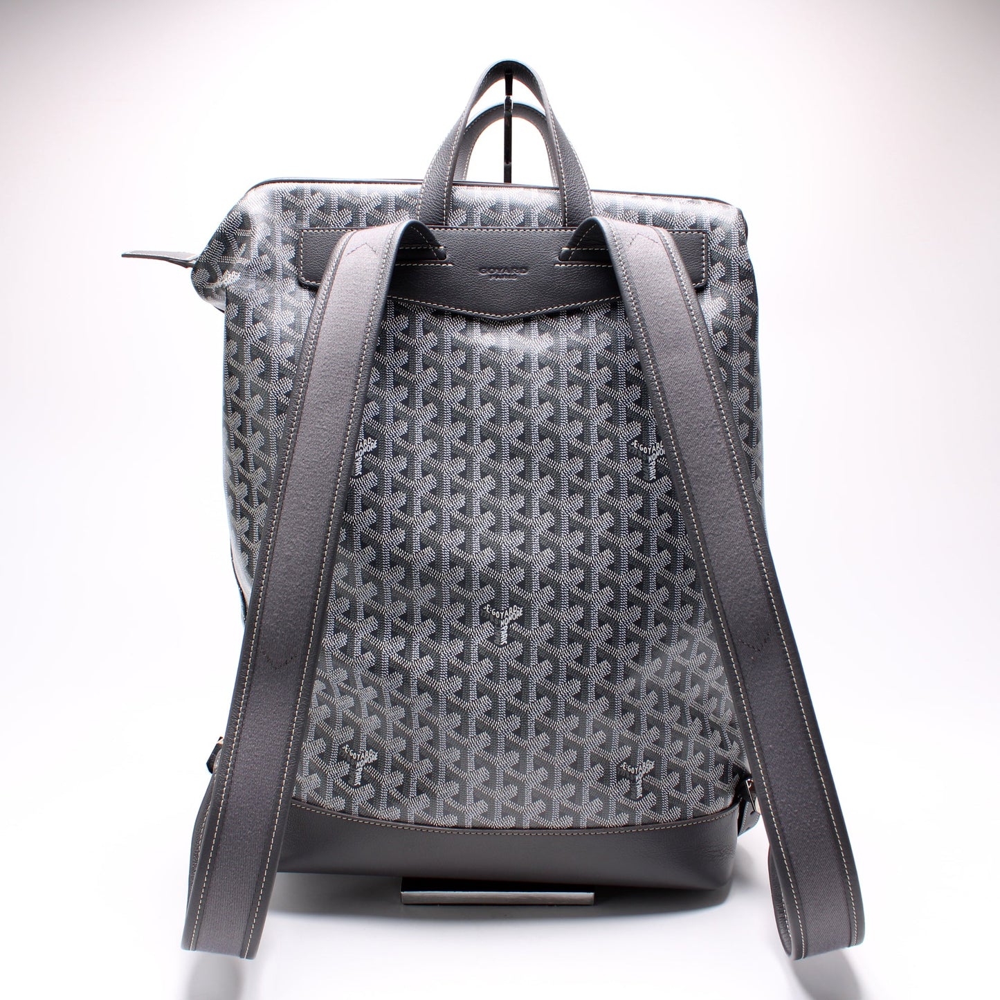 Cisalpin Backpack