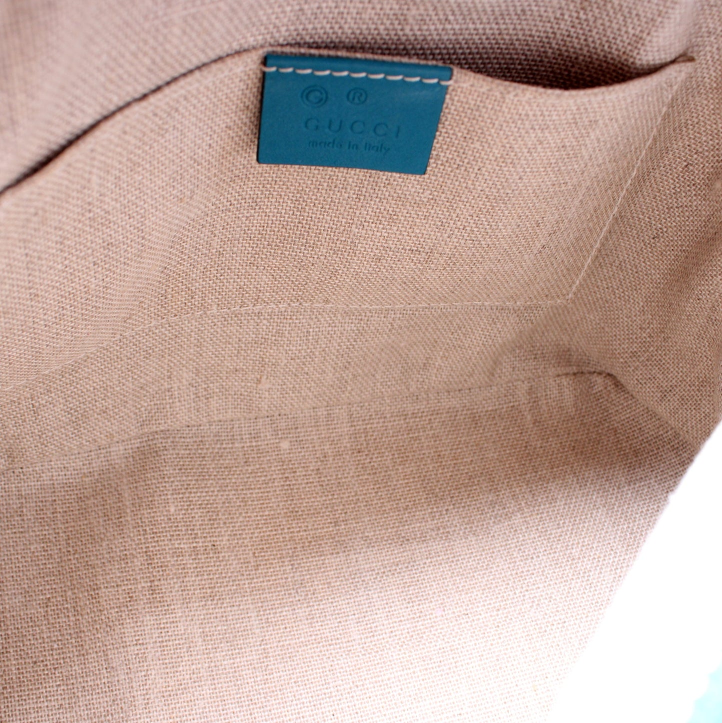 449654 Mini Dome Guccissima