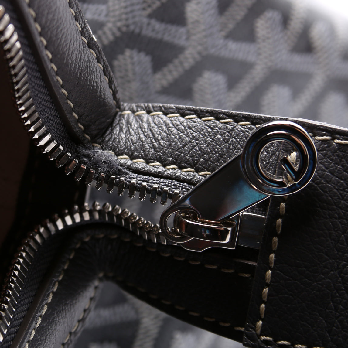 Cisalpin Backpack