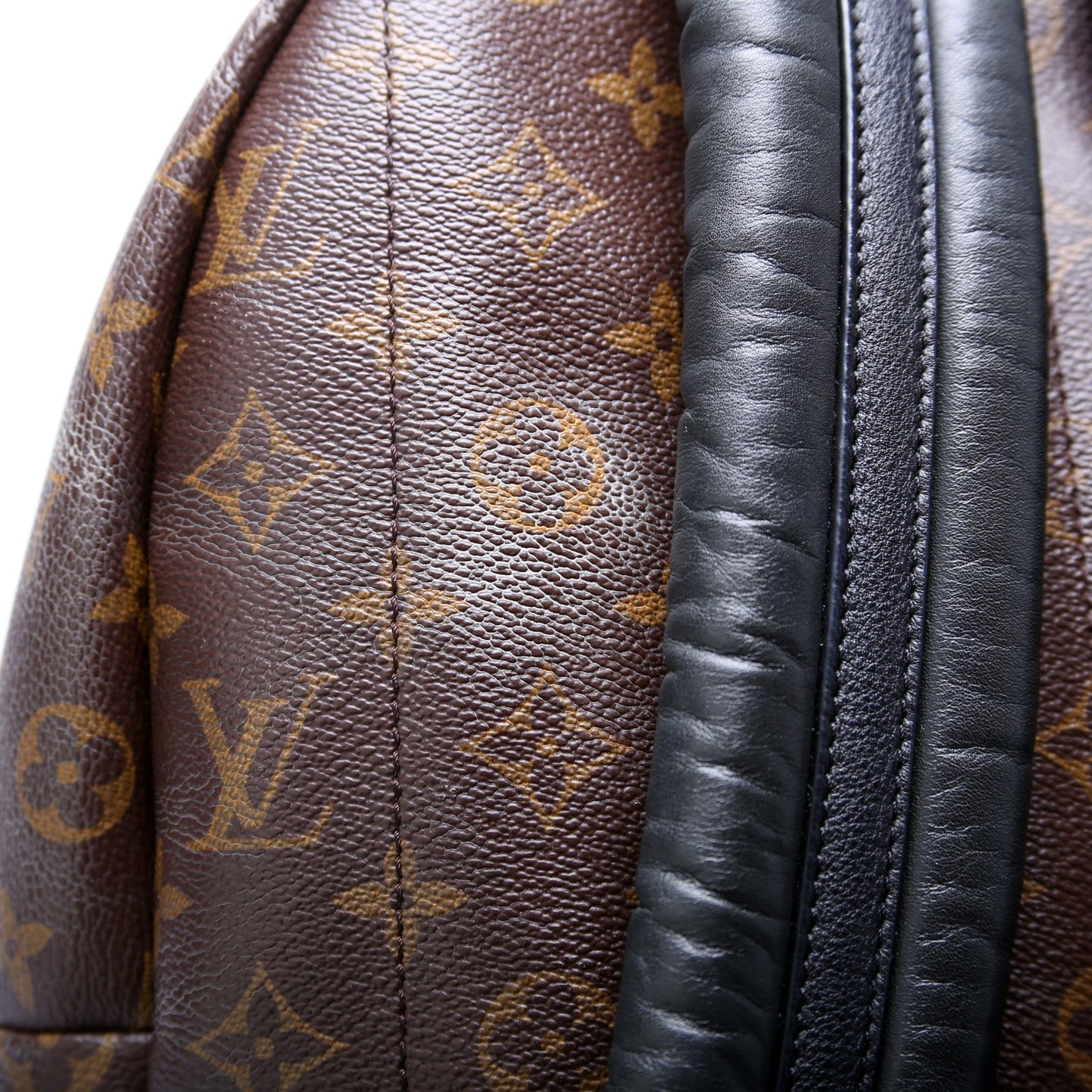 Palm Springs Backpack MM Monogram