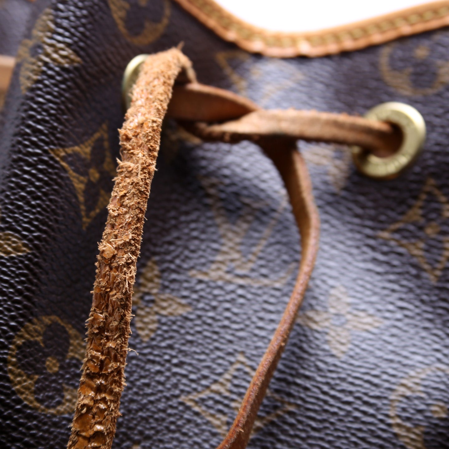Bosphore Backpack Monogram