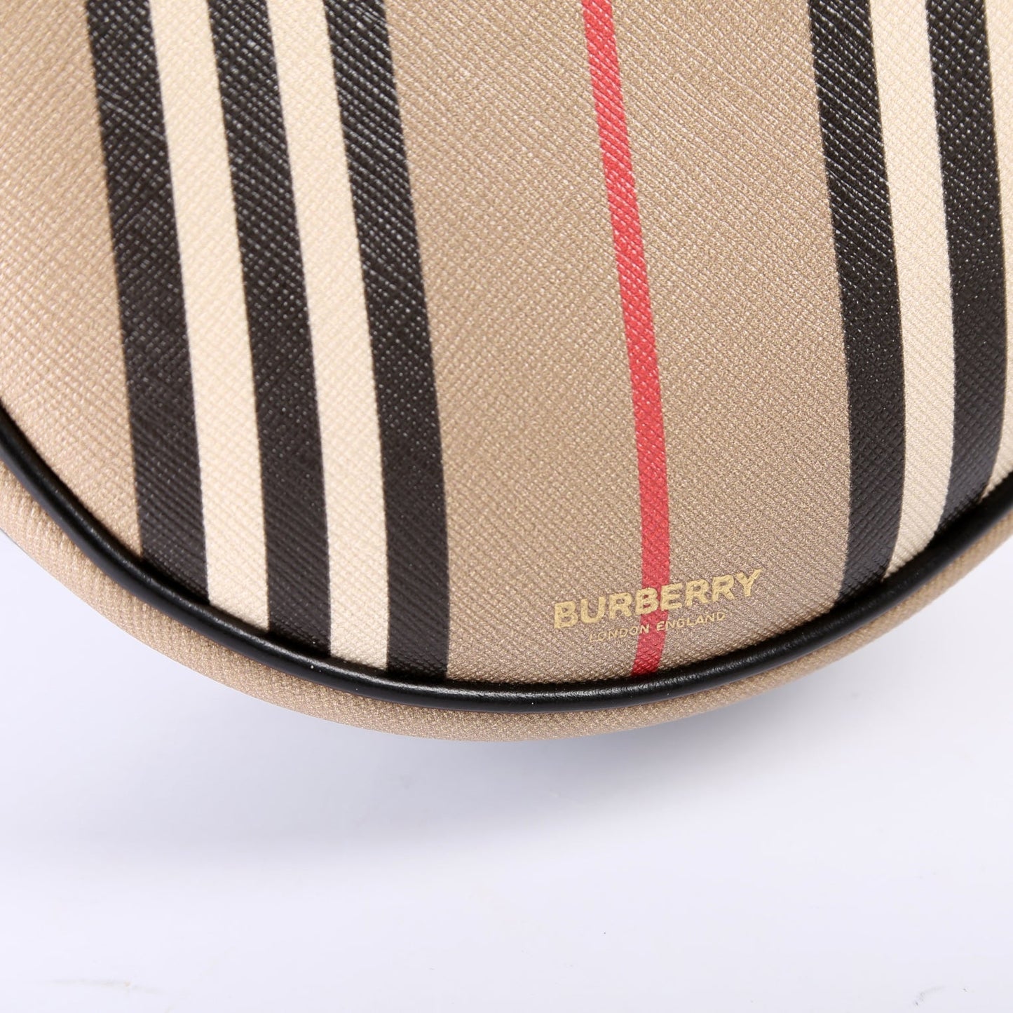 Louise Icon Stripe E-Canvas Crossbody
