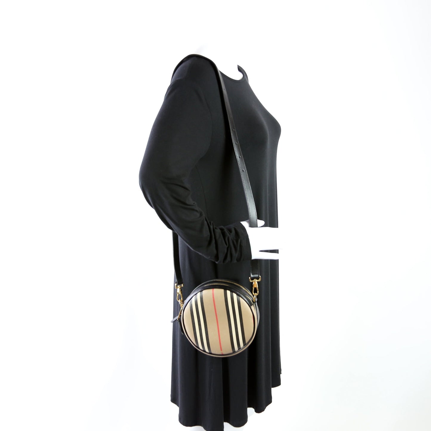 Louise Icon Stripe E-Canvas Crossbody