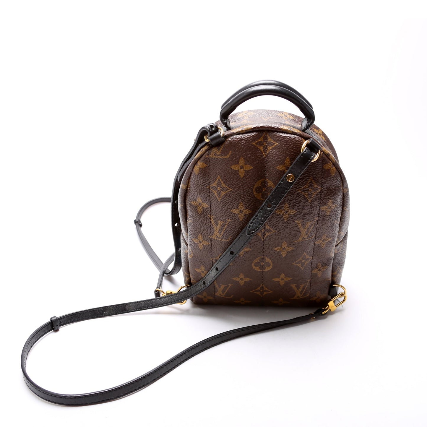 Palm Springs Mini Backpack World Tour Monogram