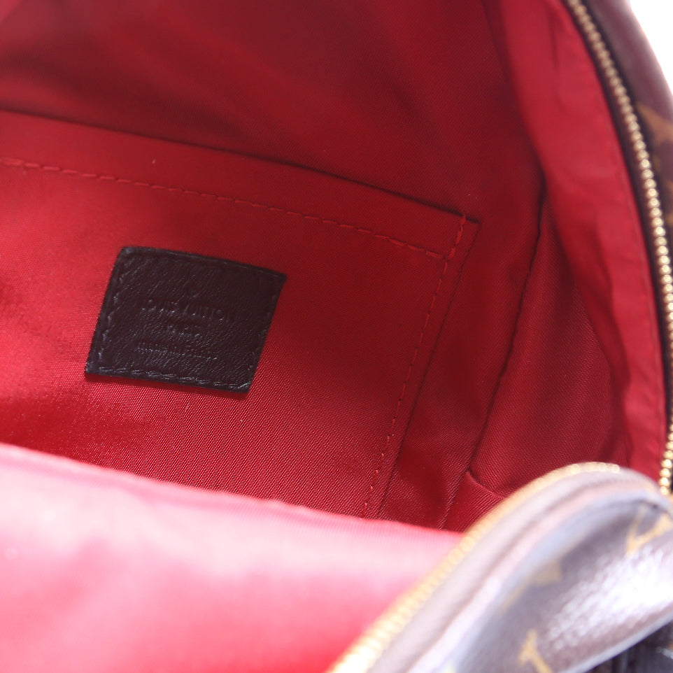 Palm Springs Mini Backpack World Tour Monogram