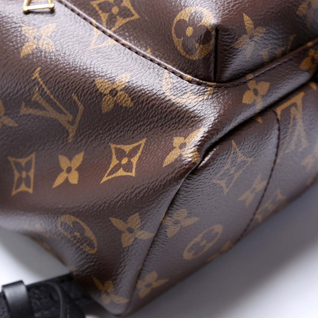 Palm Springs Backpack PM NM Monogram