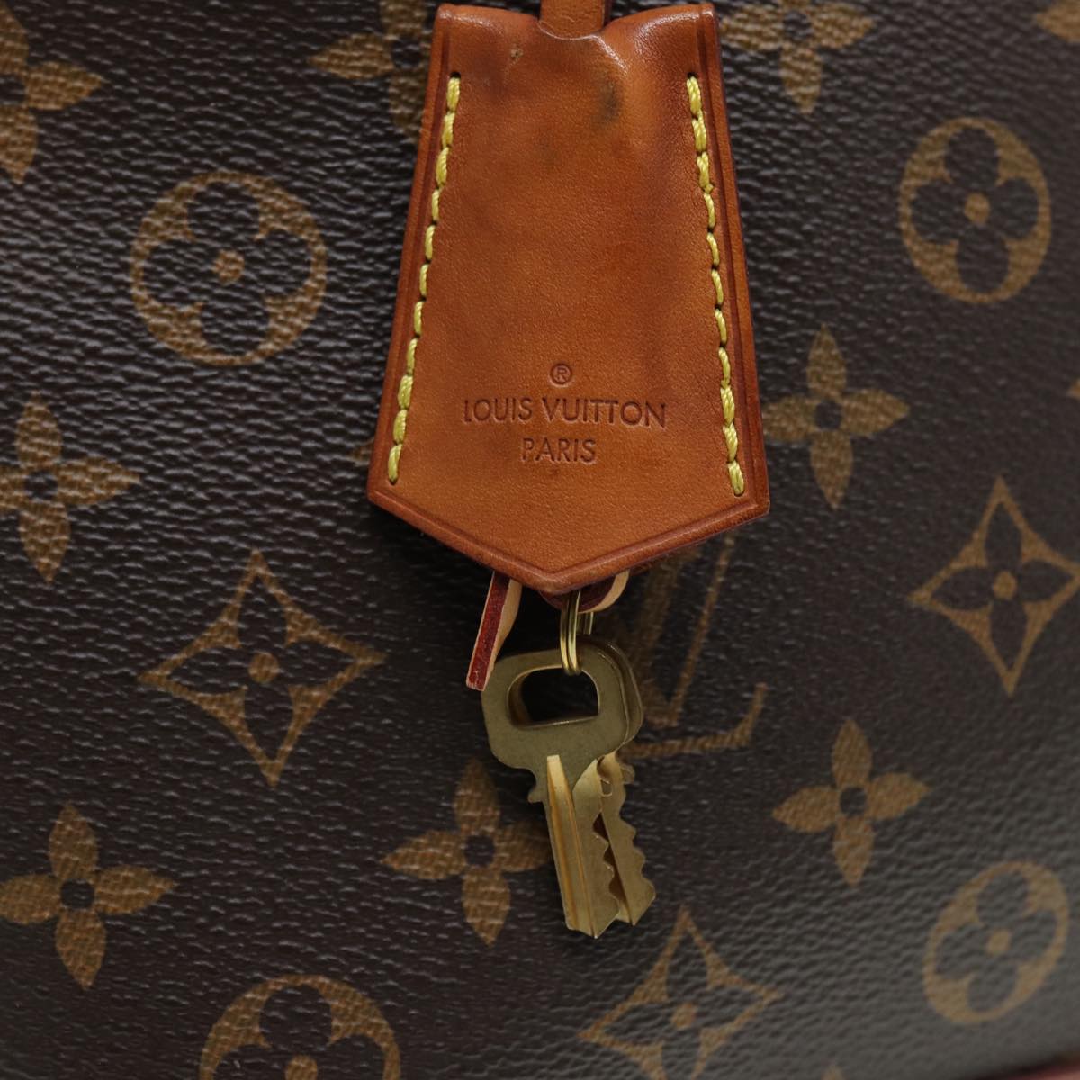 Louis Vuitton Alma Other Canvas Handbag