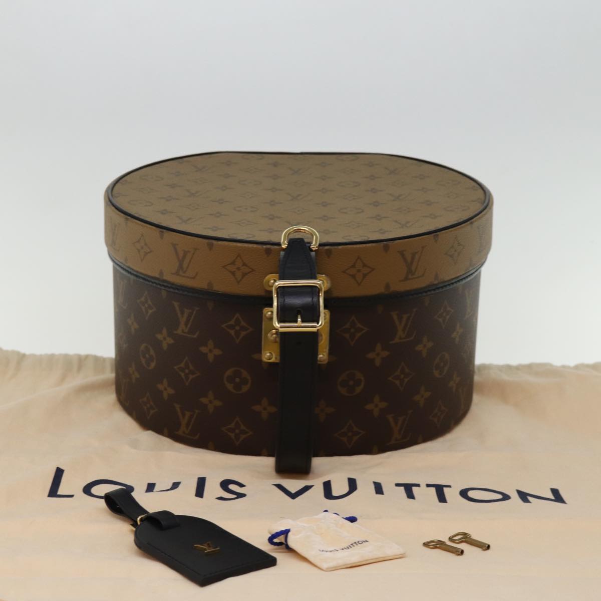 Louis Vuitton Reverse Brown Canvas Handbag