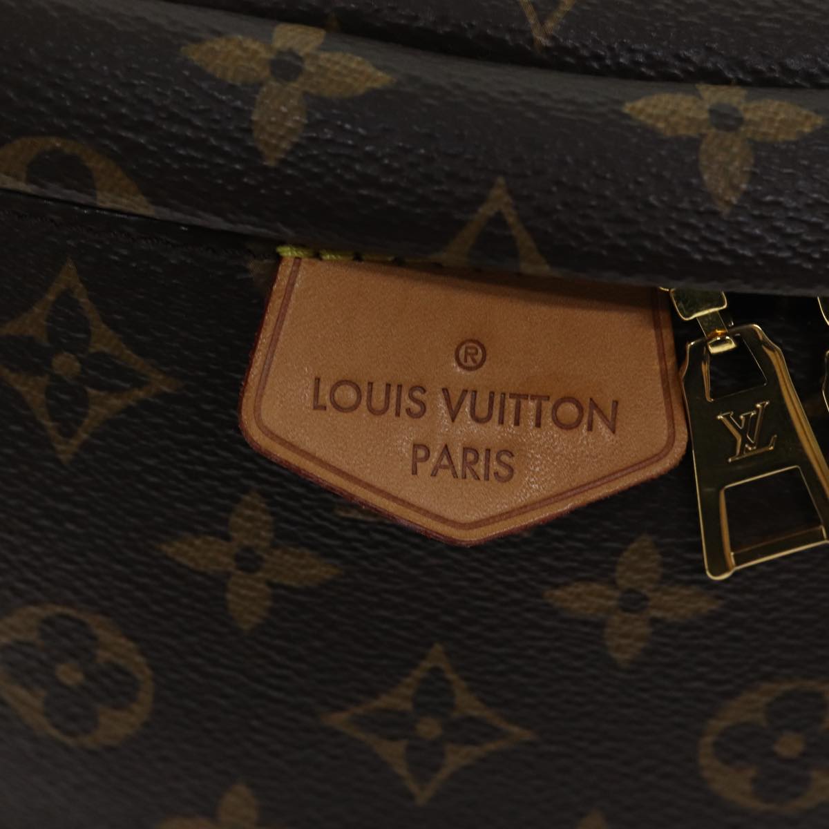 Louis Vuitton Bum Bag Brown Canvas Shoulder Bag