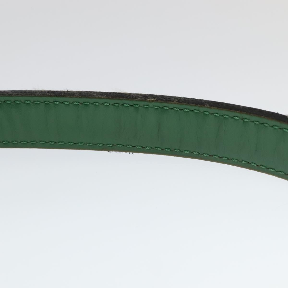 Louis Vuitton Noé Pm Green Leather Shoulder Bag