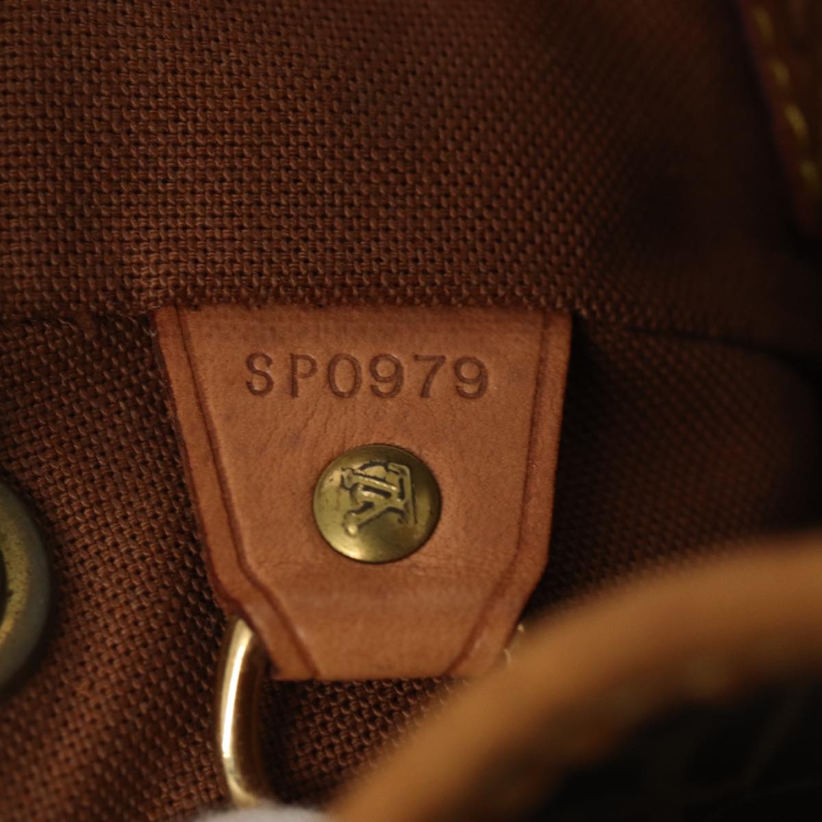 Louis Vuitton Montsouris Brown Canvas Backpack Bag