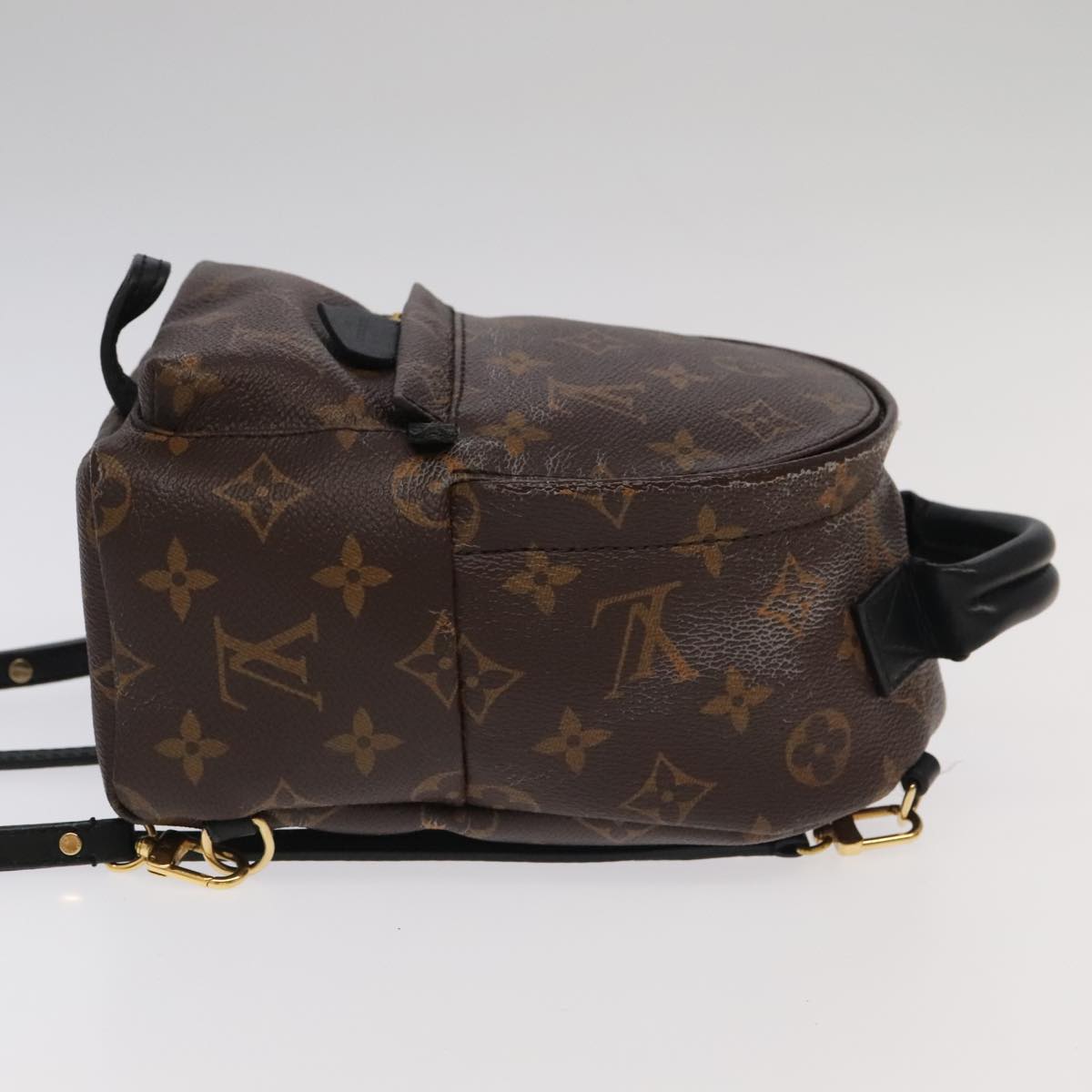 Louis Vuitton Palm Springs Mini Brown Canvas Backpack Bag