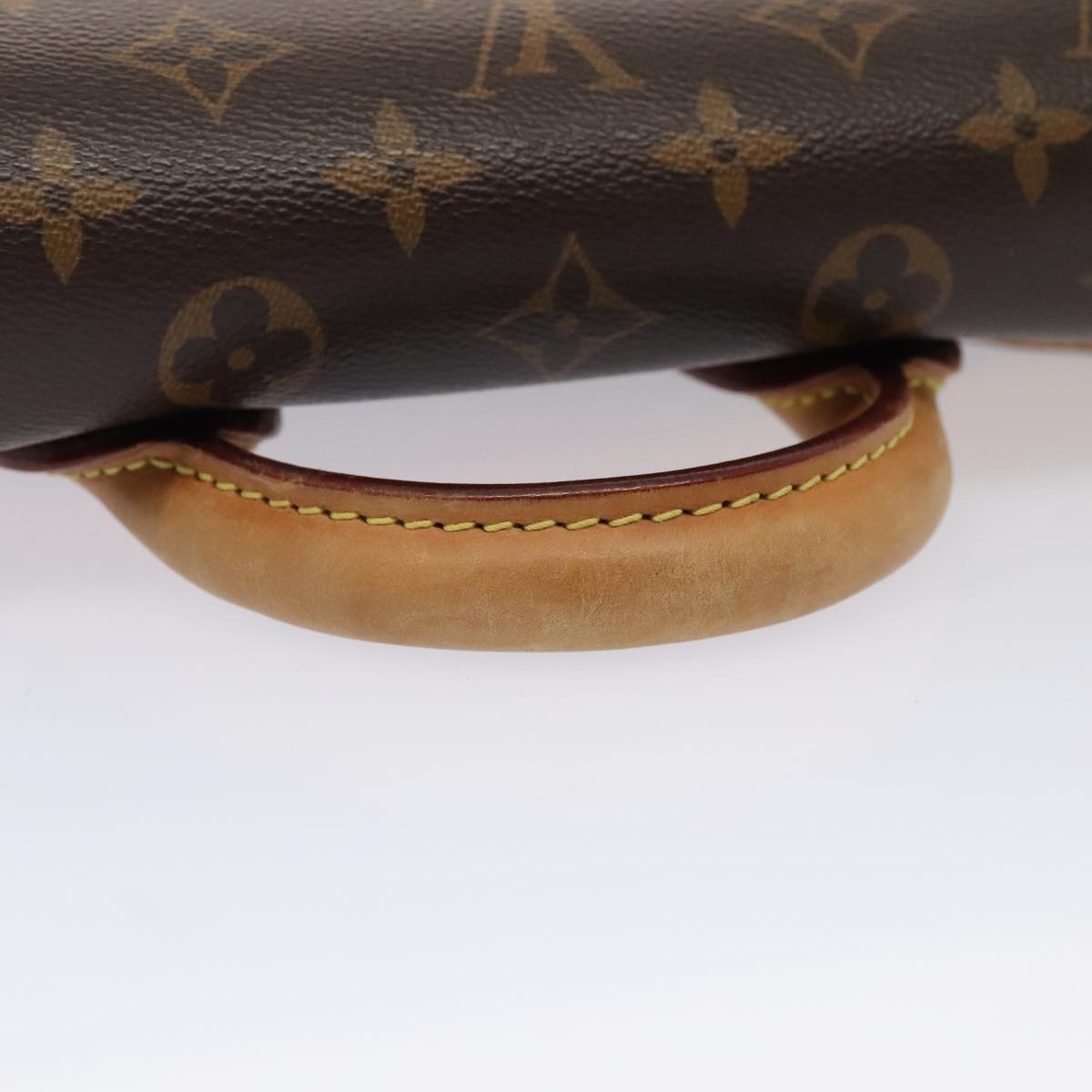 Louis Vuitton Eden Brown Canvas Handbag