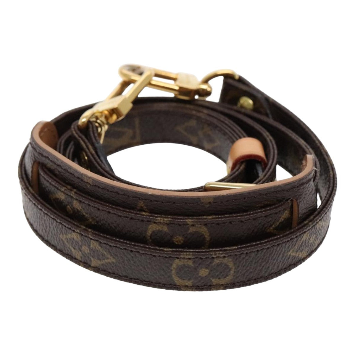 Louis Vuitton Shoulder Strap Brown Canvas Bag Jewelry