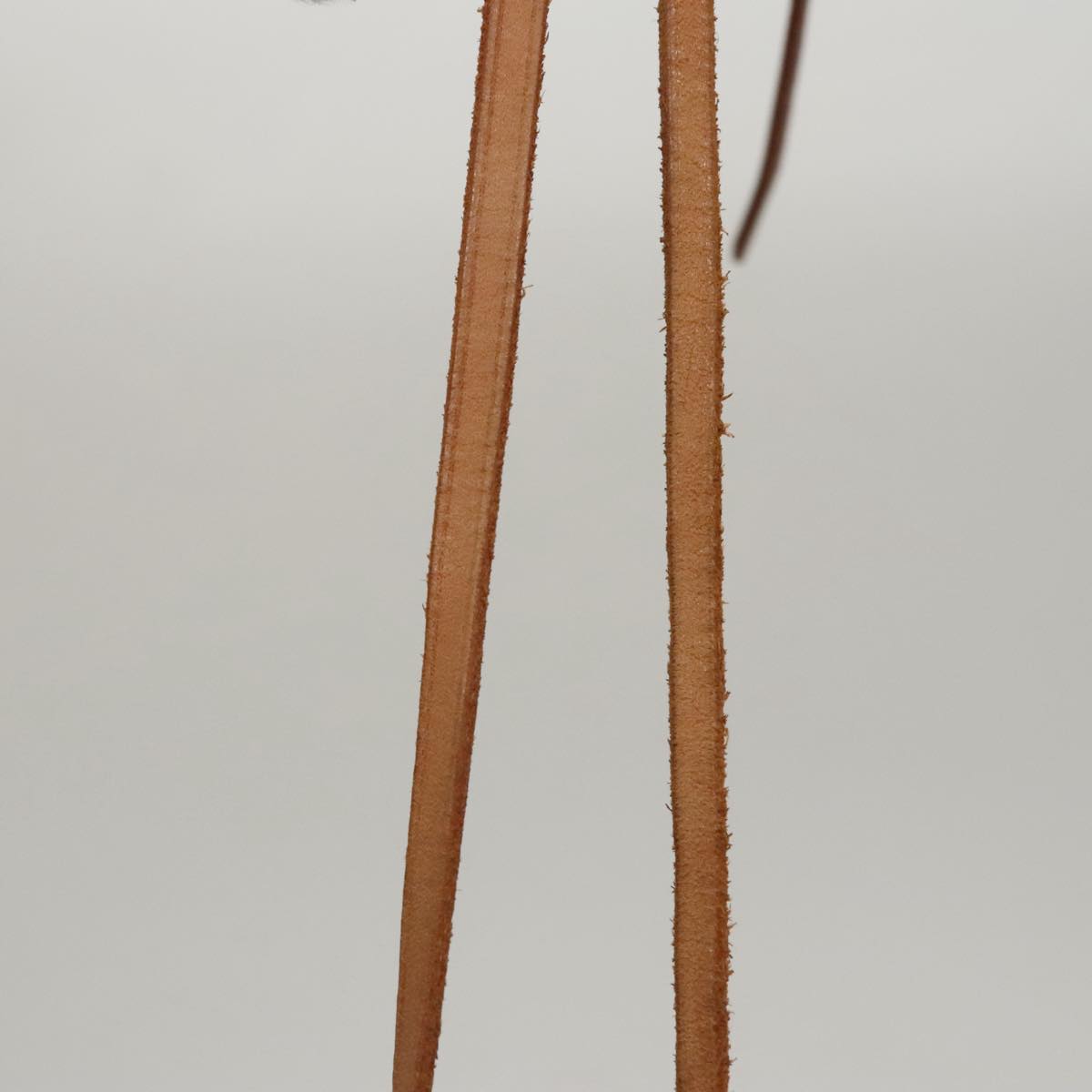 Louis Vuitton Noé White Canvas Shoulder Bag