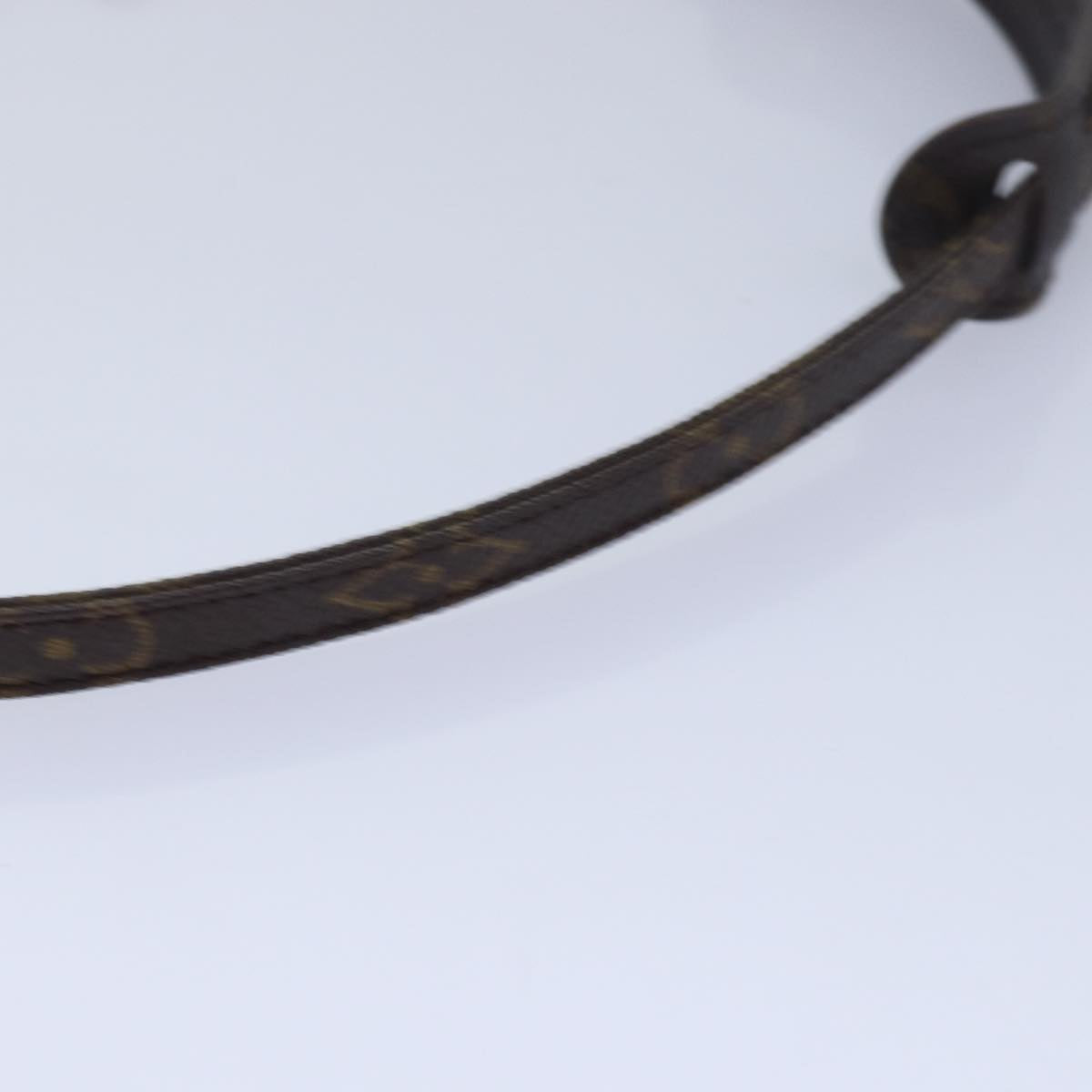 Louis Vuitton Brown Canvas Bag Jewelry