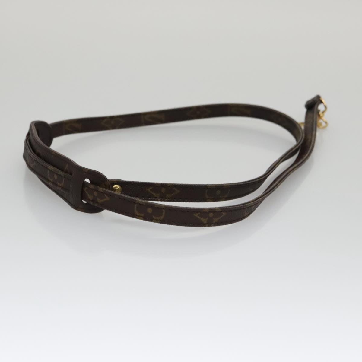 Louis Vuitton Shoulder Strap Brown Canvas Bag Jewelry