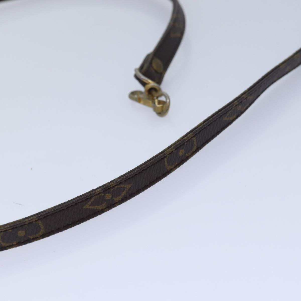 Louis Vuitton Brown Canvas Bag Jewelry