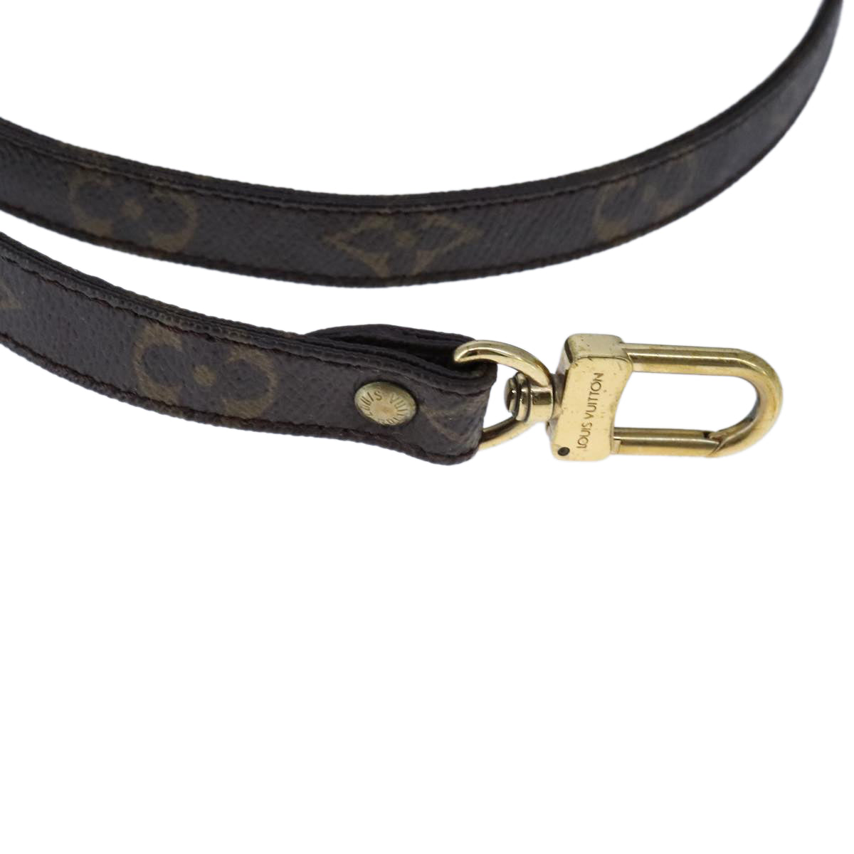 Louis Vuitton Shoulder Strap Brown Canvas Bag Jewelry