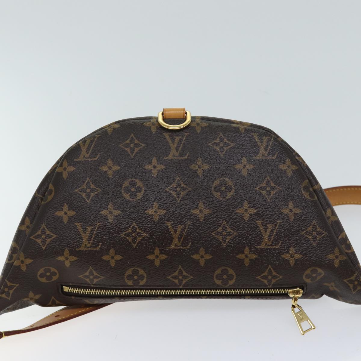 Louis Vuitton Bum Bag Brown Canvas Shoulder Bag