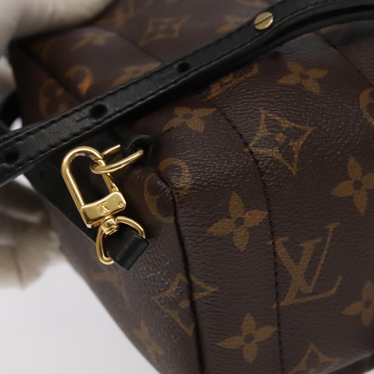 Louis Vuitton Palm Springs Mini Brown Canvas Backpack Bag
