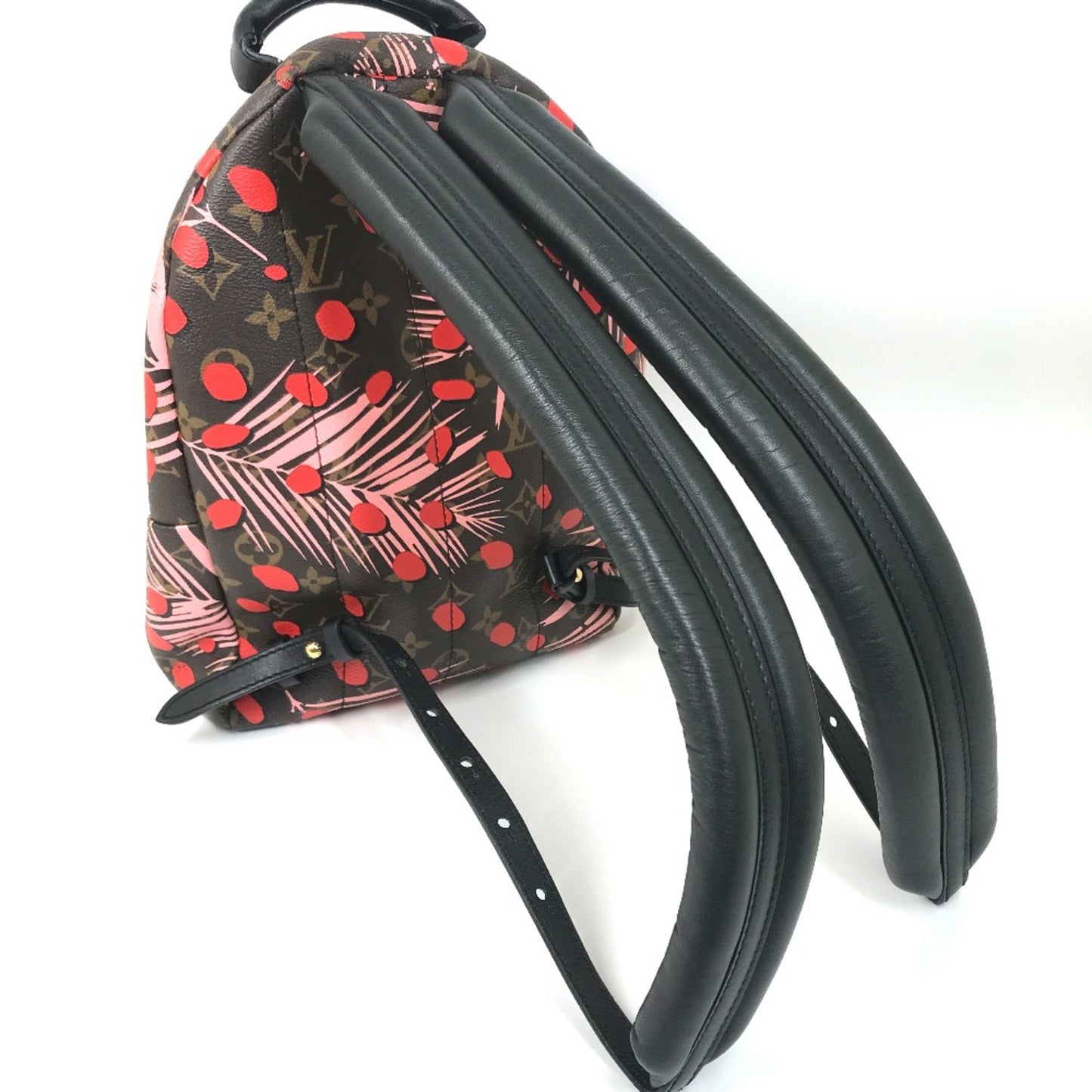 Louis Vuitton Brown Other Backpack