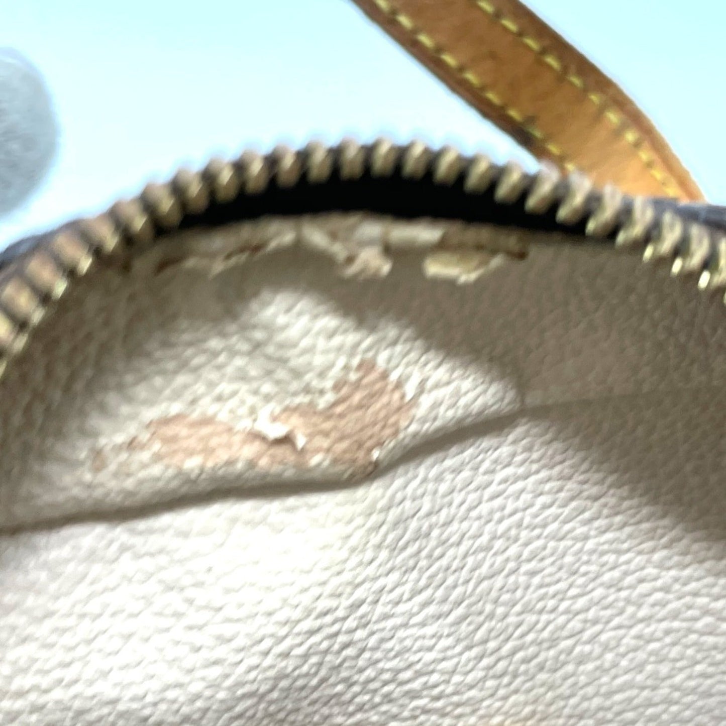 Louis Vuitton Brown Other Shoulder Bag