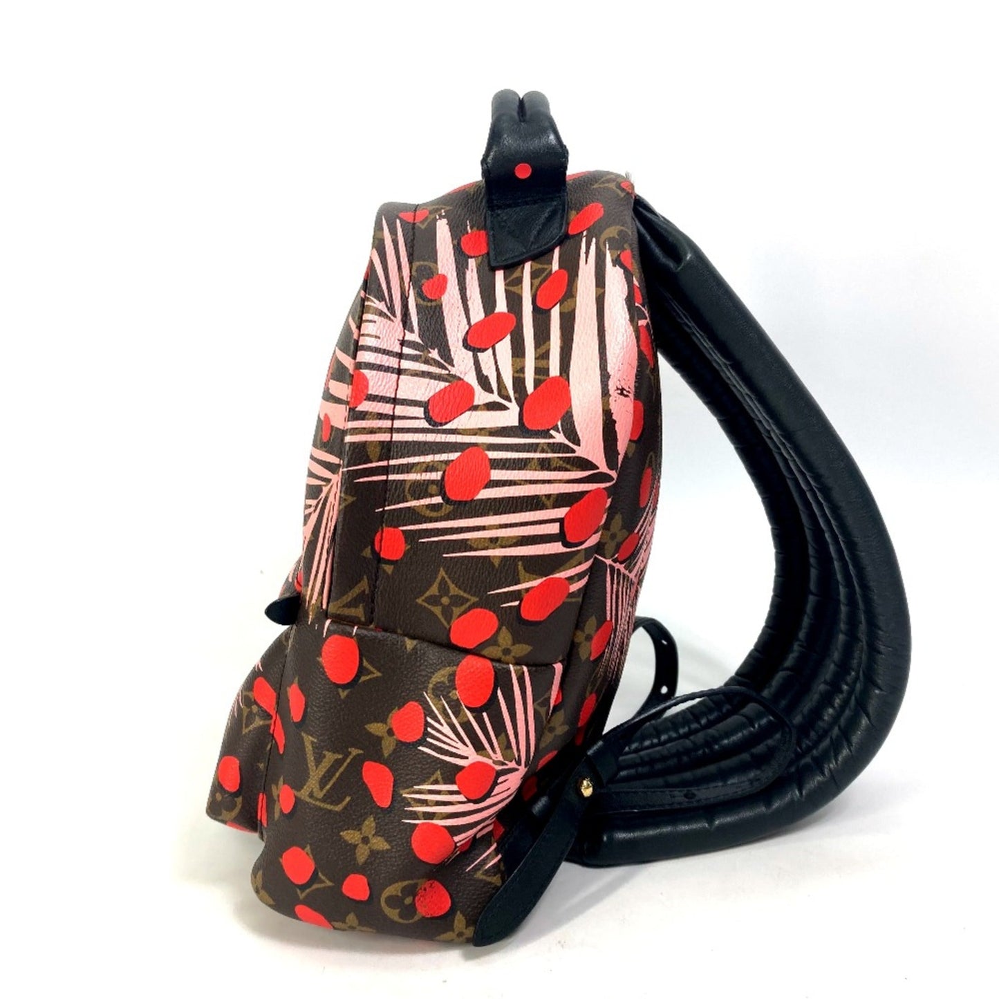 Louis Vuitton Brown Other Backpack
