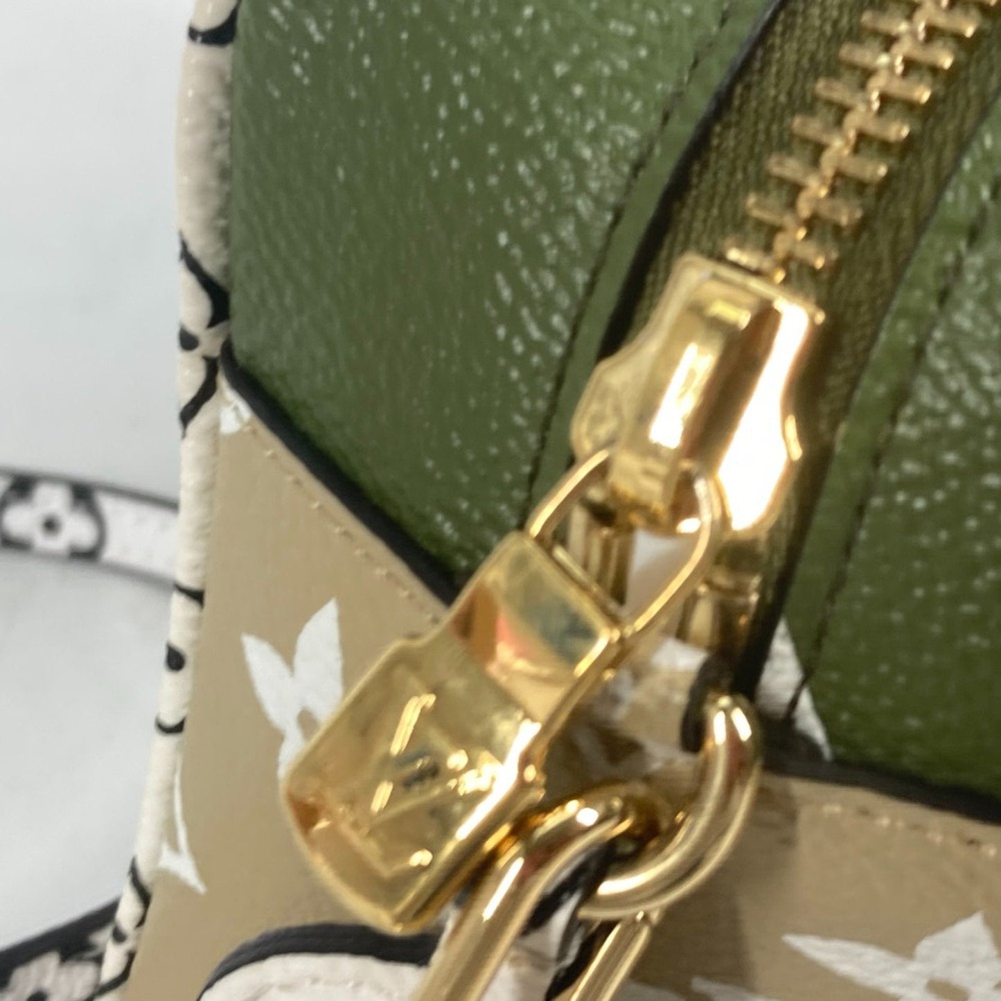 Louis Vuitton Other Other Shoulder Bag