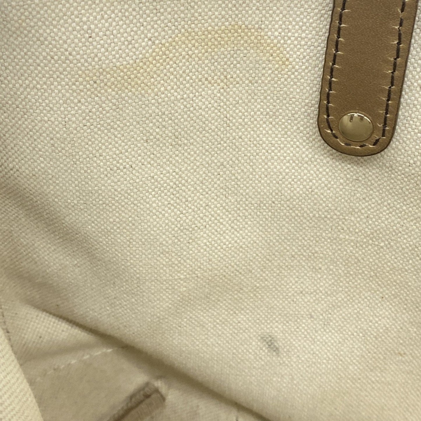 Gucci Brown Canvas Tote Bag