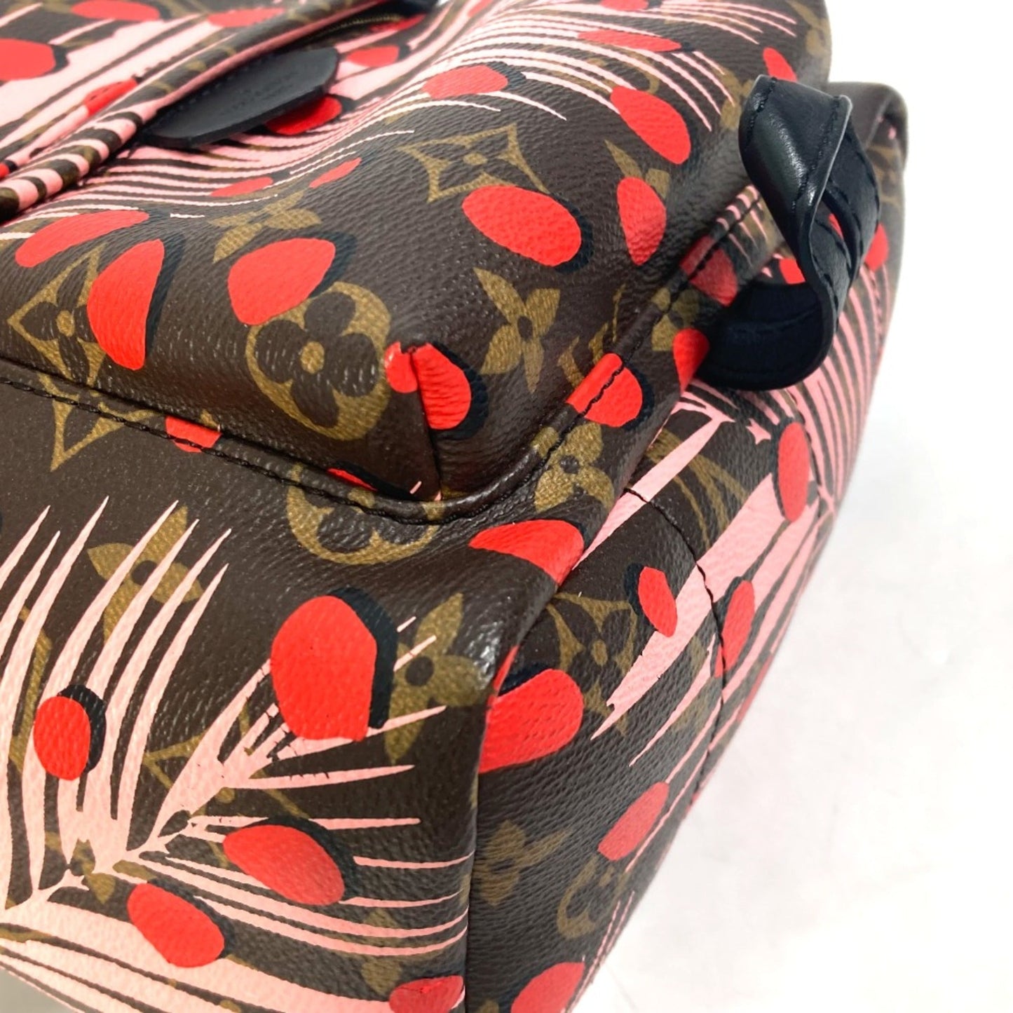 Louis Vuitton Brown Other Backpack
