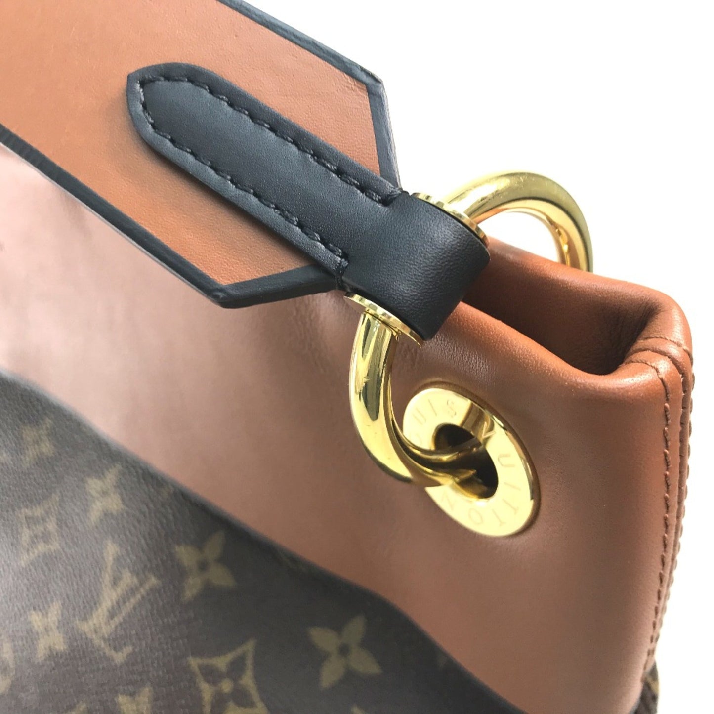 Louis Vuitton Brown Other Shoulder Bag
