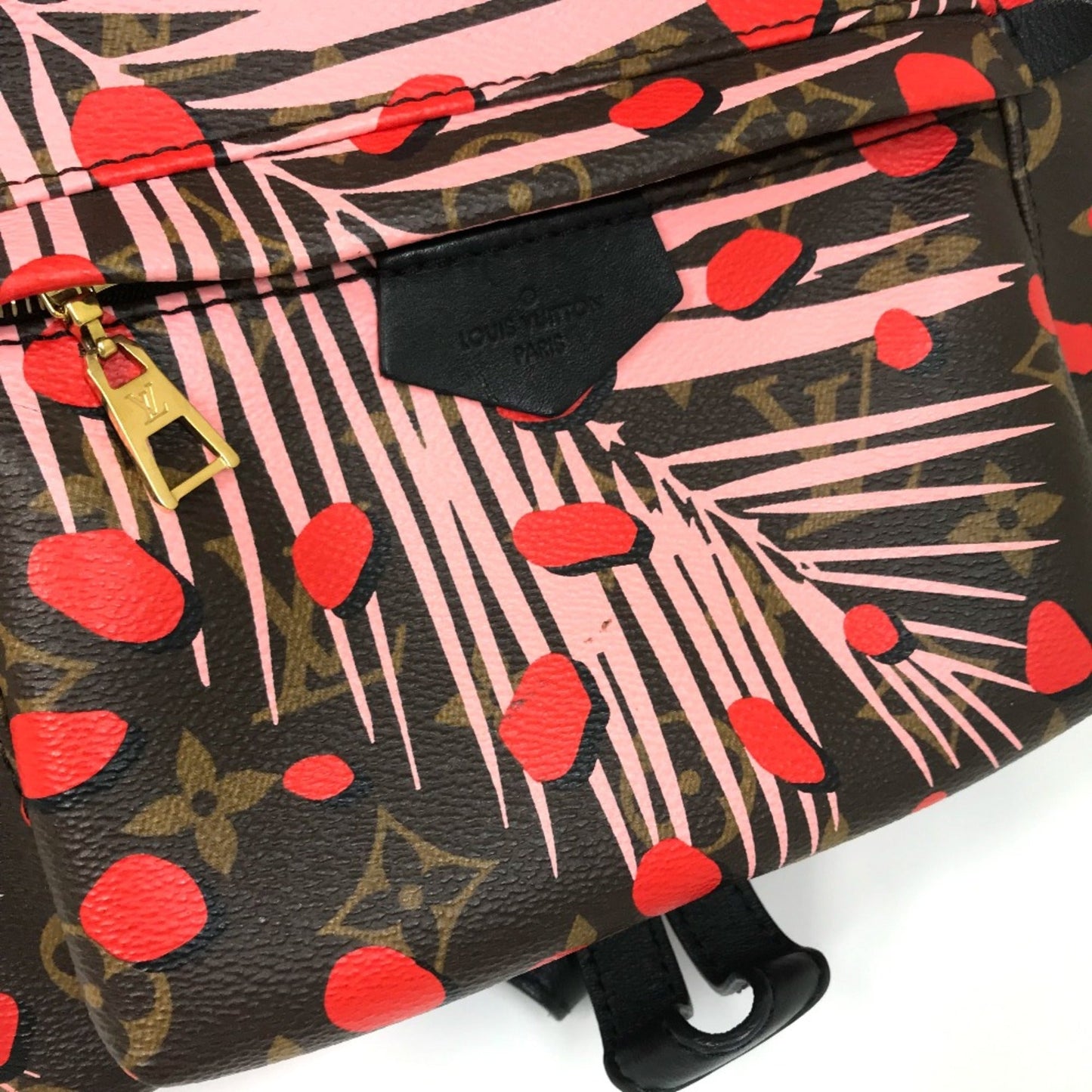 Louis Vuitton Brown Other Backpack
