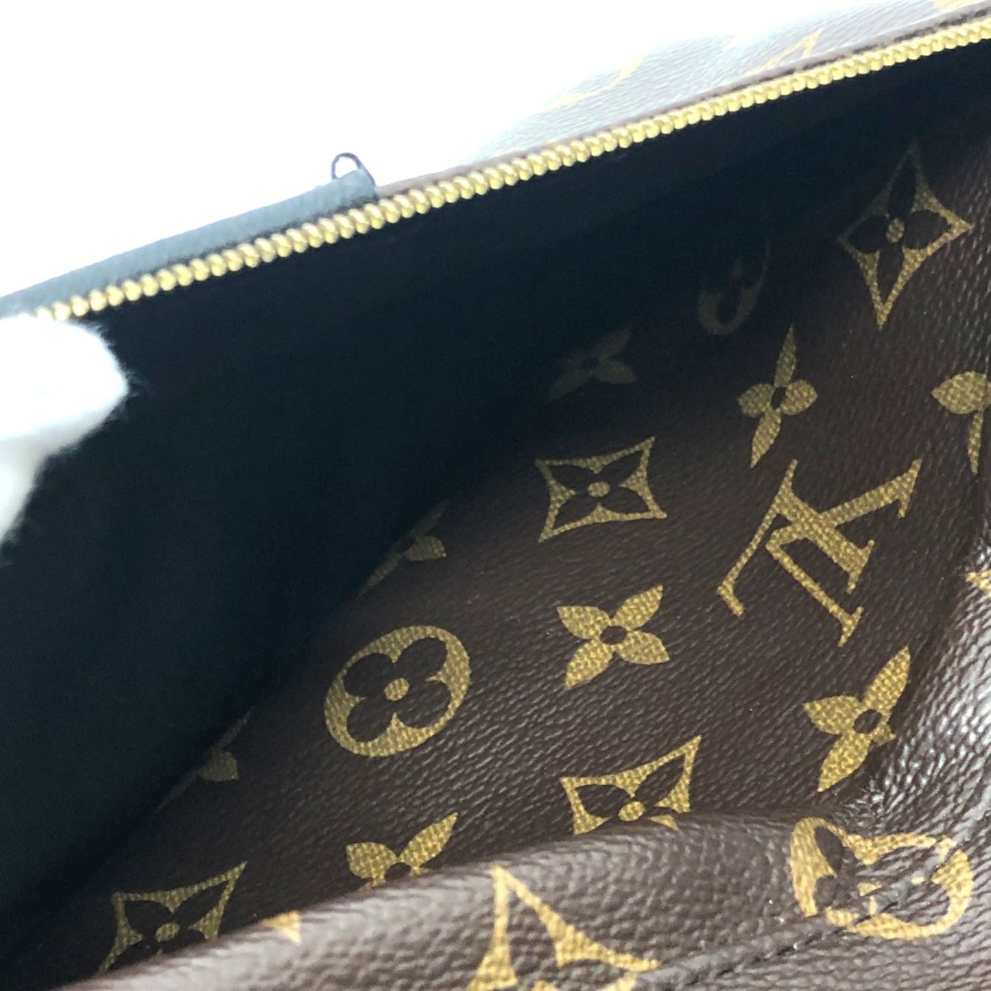 Louis Vuitton Brown Other Backpack