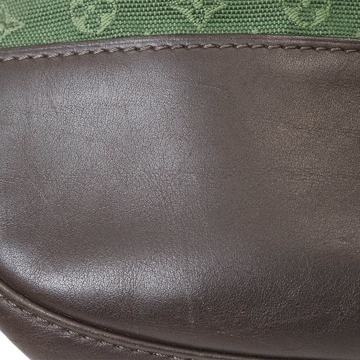 Louis Vuitton Monogram Tst Khaki Monogram Mini Shoulder Bag