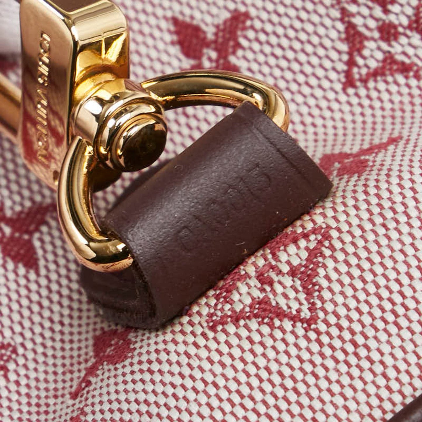 Louis Vuitton Cherry Red Color Canvas Leather Shoulder Bag