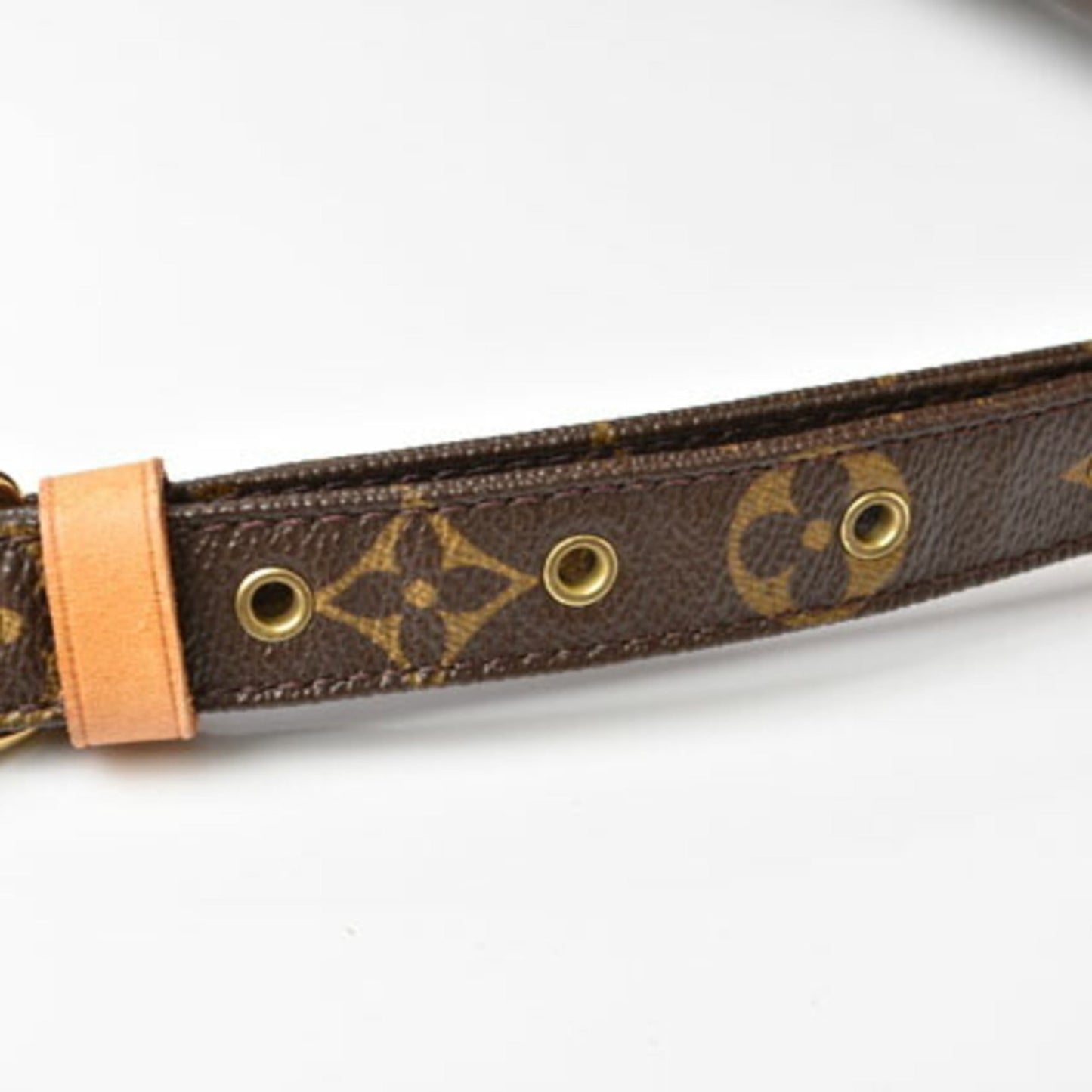 Louis Vuitton Monogram Monogram Shoulder Bag