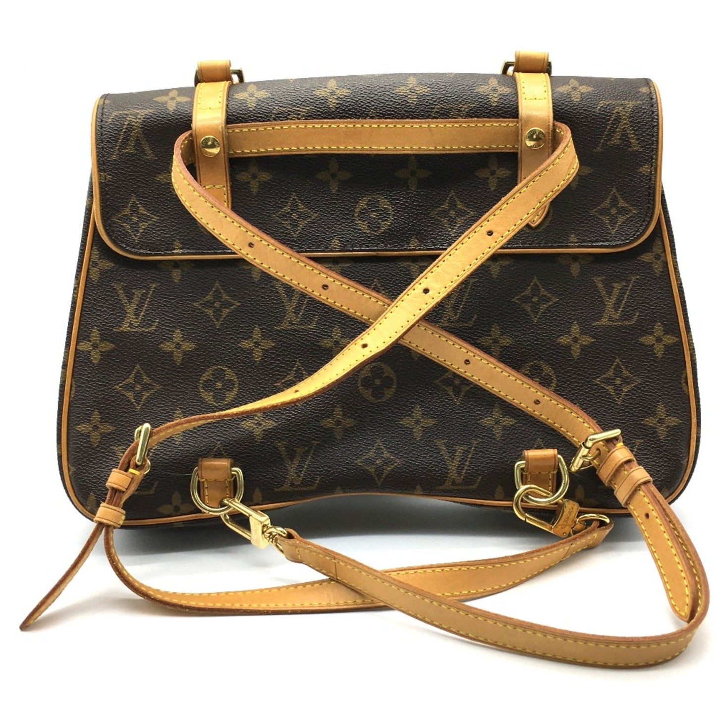 Louis Vuitton Brown Other Backpack