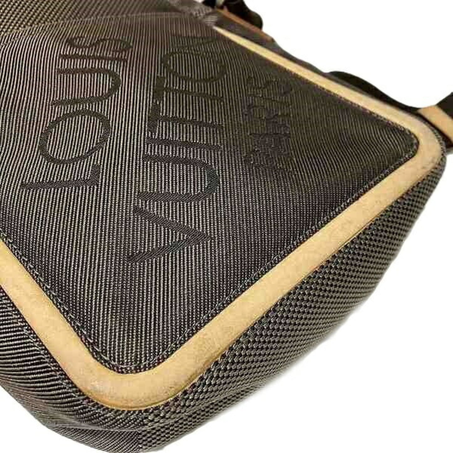 Louis Vuitton Damier Canvas Earth Damier Geant Shoulder Bag