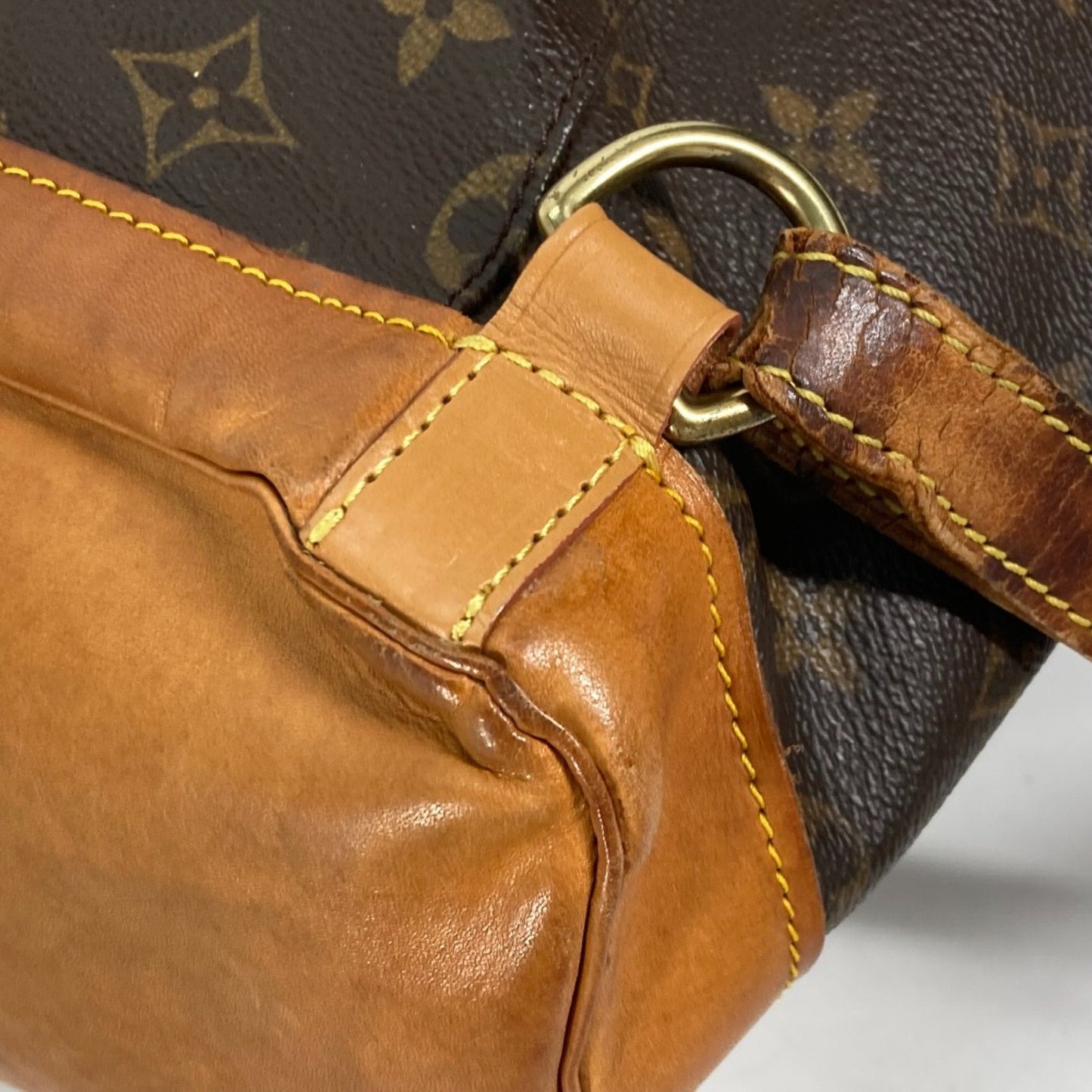 Louis Vuitton Brown Other Backpack