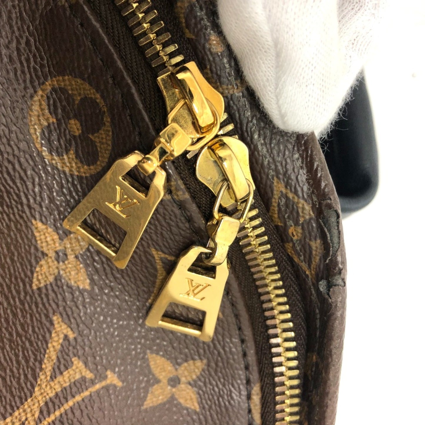 Louis Vuitton Brown Other Backpack